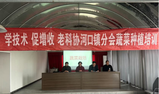 如东河口镇2.png