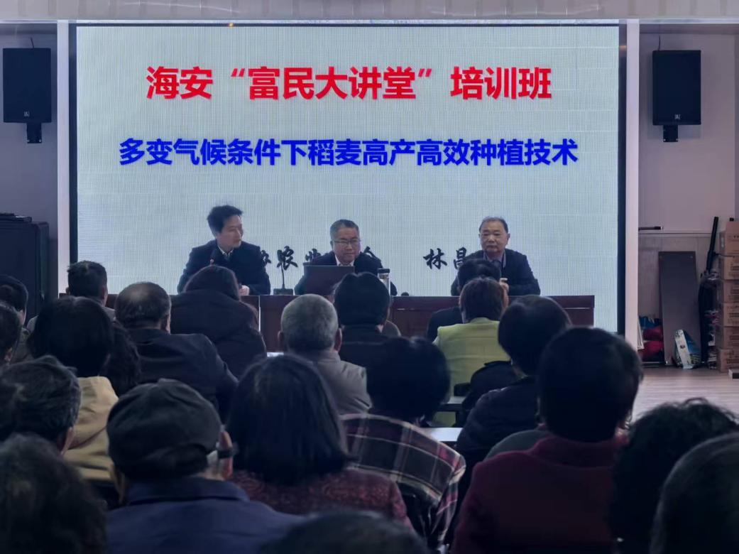 海安富民1.png