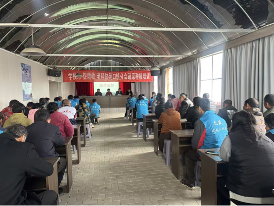 如东河口镇1.png